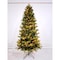 Celebrations Holiday Bright Lights 1-2 Tree 7 ft. Full LED 450 ct Cayce Pine Color Changing Christmas Tree TFCP7CCA - alternate 3